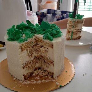 Tarta de coco Rafaello ELITE ( bizcocho de coco y almendras, crema de queso de coco, tapa crujiente (chocolate blanco+almendras, coco rallado, waffels)